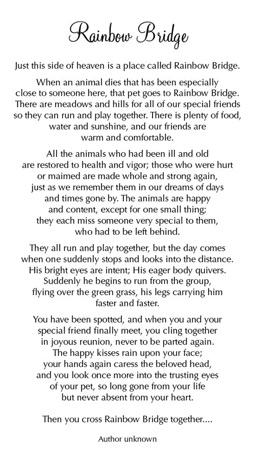 Sympathy Sleeping Cat Card - Rainbow Bridge poem