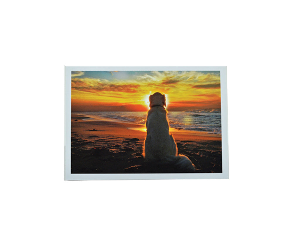 Sympathy Dog Card - Pets Prayer verse