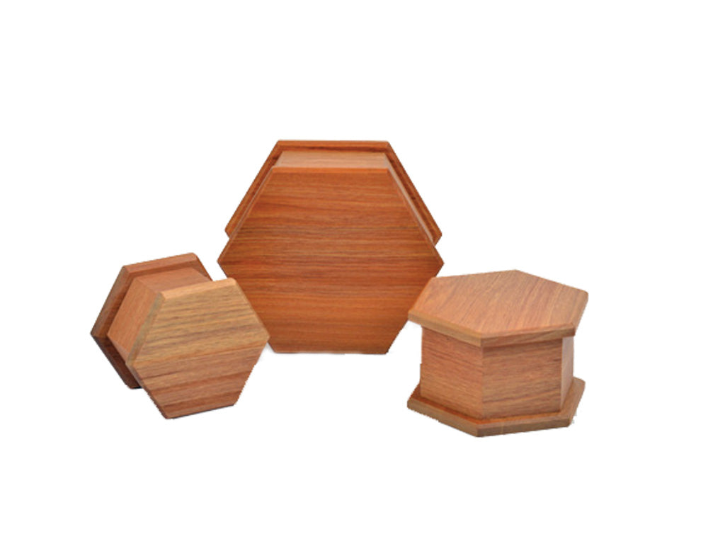 Podocarp Rimu Urn Hexagon #4