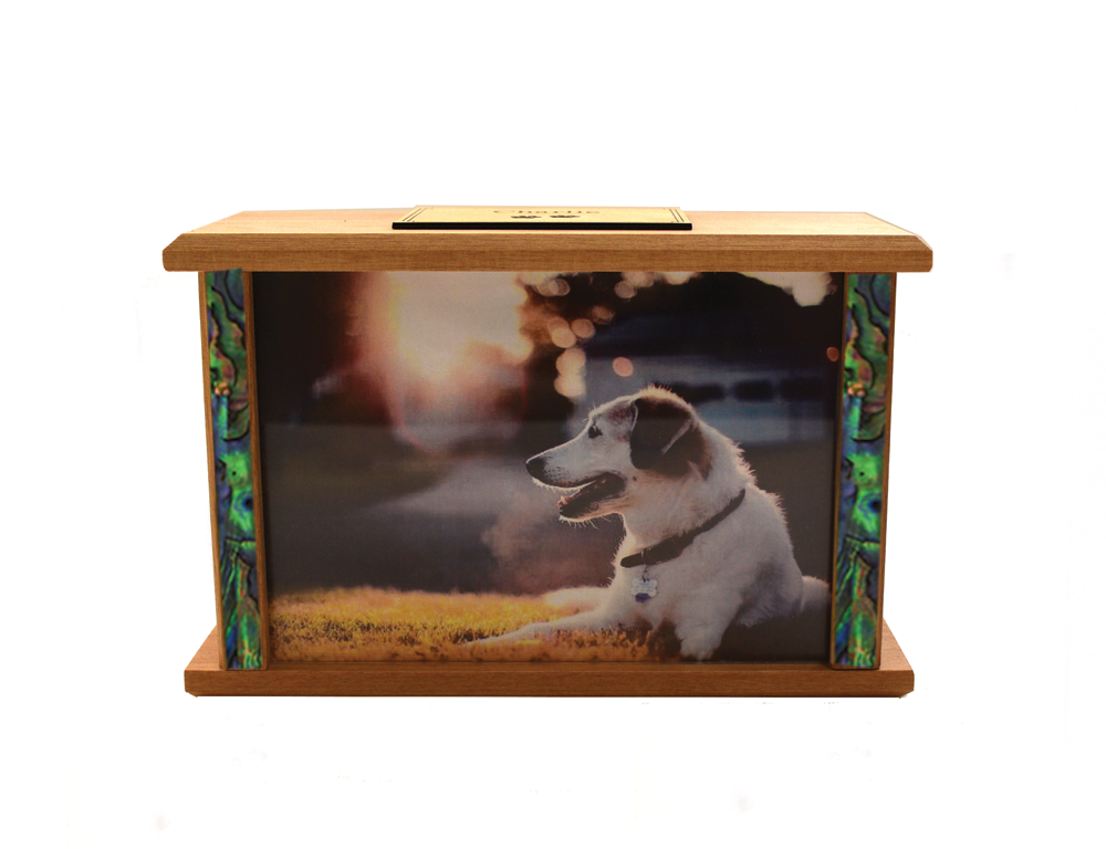 Photo Podocarp Wooden Urn Overlap #4 with Paua
