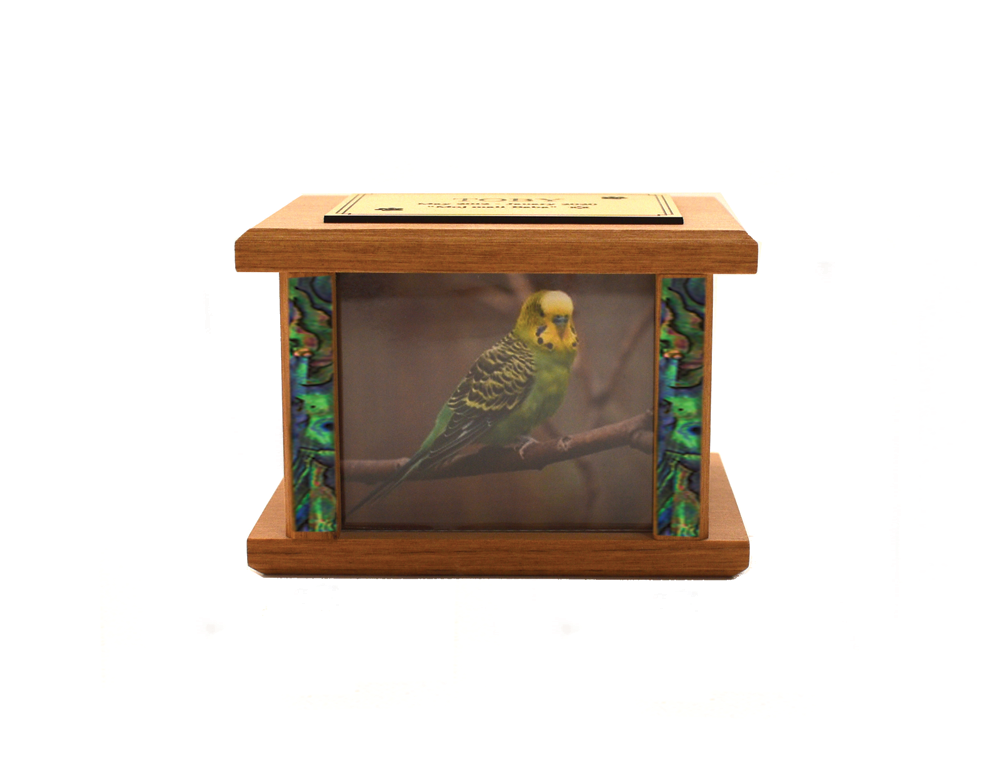 Photo Podocarp Wooden Urn Overlap #2 with Paua