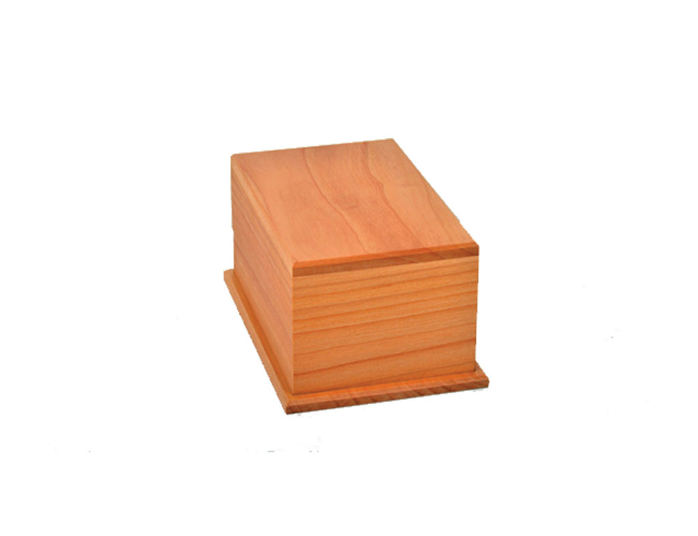 Macrocarpa Urn Flat #5