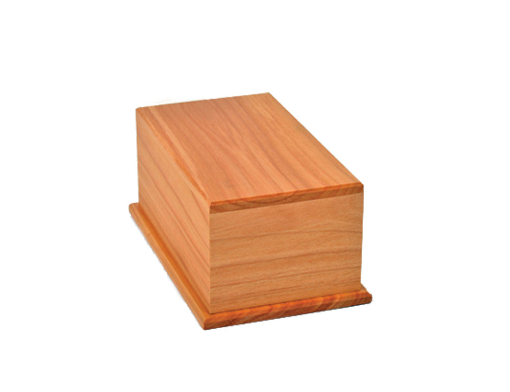 Macrocarpa Urn Flat #6
