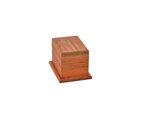Podocarp Rimu Urn Flat #2