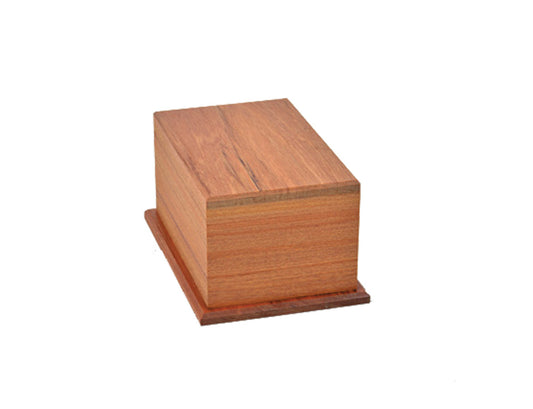 Podocarp Rimu Urn Flat #5