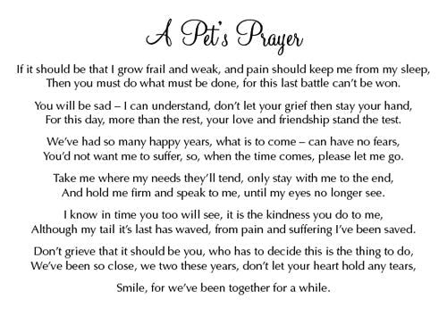 Sympathy Cat + Dog sleeping Card - Pets Prayer verse