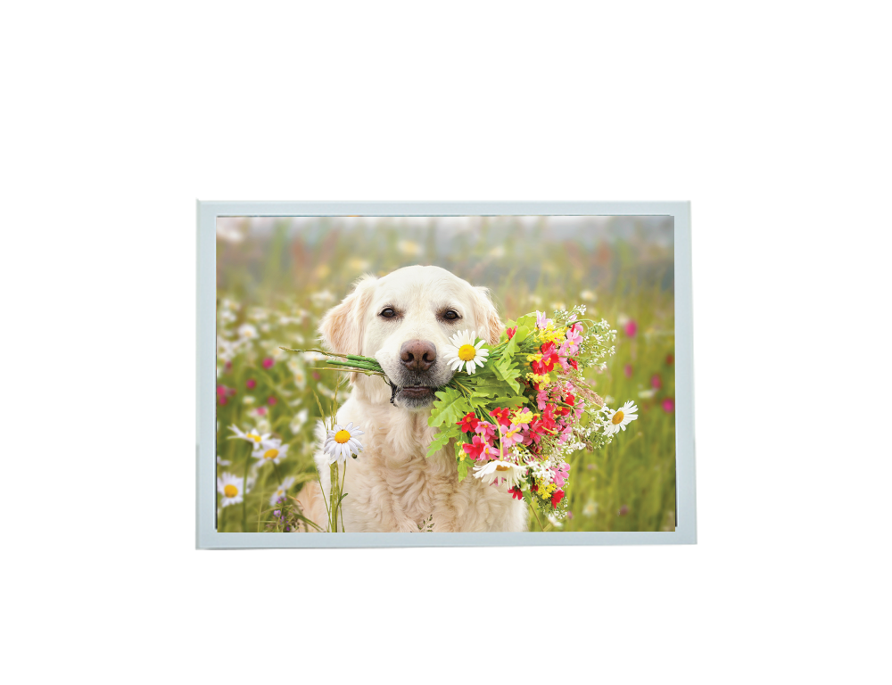 Sympathy Dog + Flowers Card - Pets Prayer verse