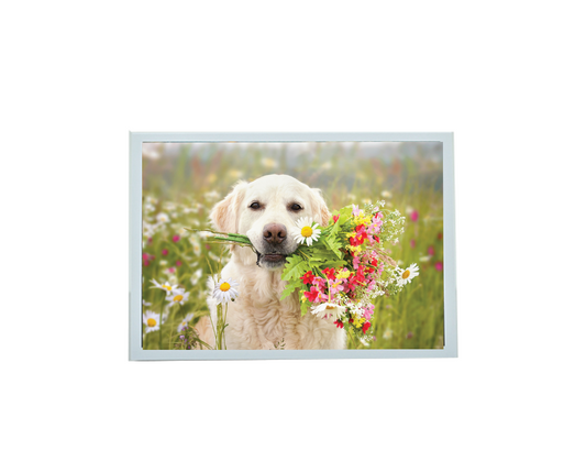 Sympathy Dog + Flowers Card - Pets Prayer verse