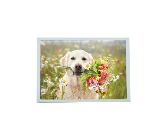 Sympathy Dog + Flowers Card - Rainbow Bridge poem