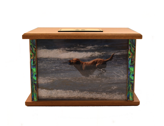Photo Podocarp Wooden Urn Overlap #5 with Paua