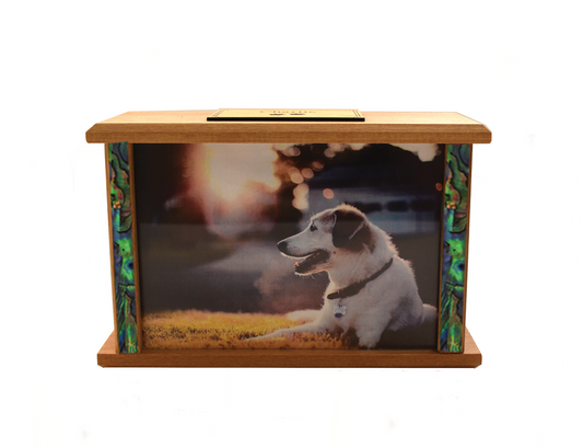 Photo Podocarp Wooden Urn Overlap #4 with Paua