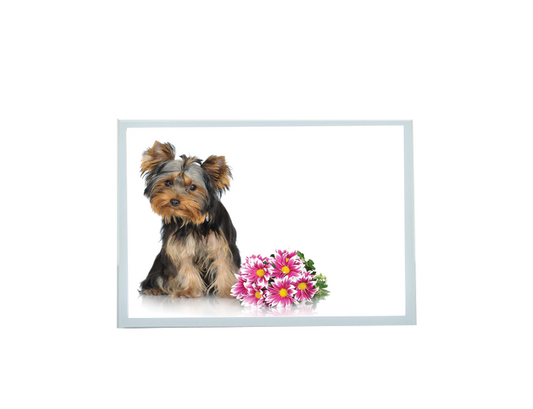 Sympathy Small Dog Card - Rainbow Bridge poem