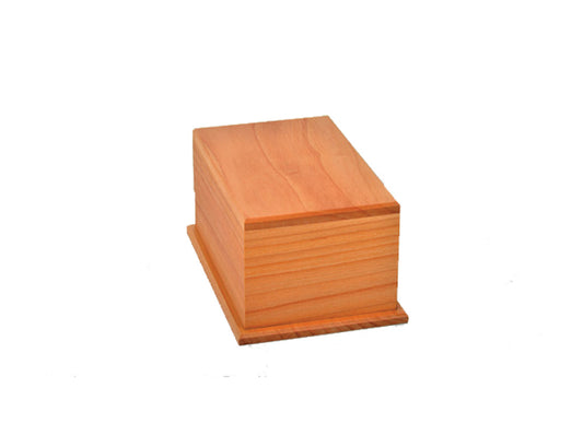 Macrocarpa Urn Flat #5